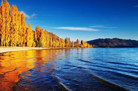 新西兰南岛金秋摄影6天游 New Zealand Autumn Photography 6 Day Tour