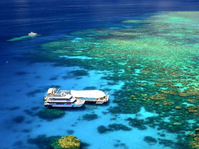 【大冒险号】诺曼/摩尔外海大堡礁一日游船 Norman/Moore Reef 1 Day Cruise