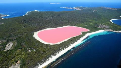 粉红仙境珀斯精华6天团 Western Australia Perth Pink Lake 6 Days Tour