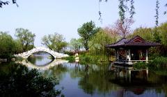 儒学之源 ● 好客山东齐鲁 7 日文化游 Shandong Qilu 7 Day Cultural Tour