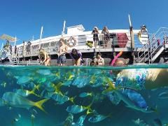 【太阳恋人号】摩尔外海大堡礁一日游 Moore Reef Cruise on the Sunlover