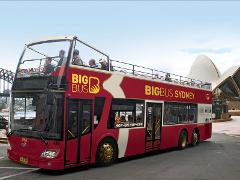 悉尼观光巴士随上随下通票(悉尼市区+邦迪海滩) Big Bus Sydney City Sightseeing Bus Ticket (Sydney City + Bondi Beach)