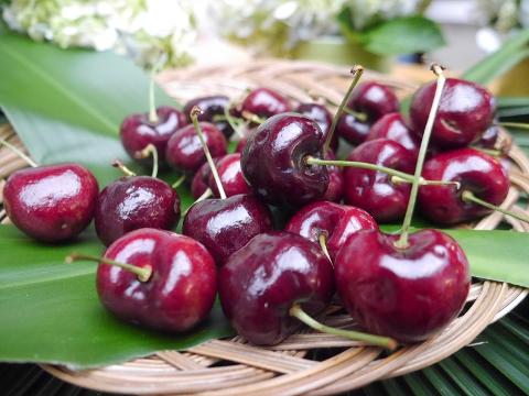 纵横 塔斯直通车厘子航空团 Tasmania Cherries 5 Day Tour