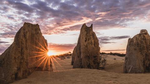 尖峰石阵一日游 The Pinnacles Day Tour