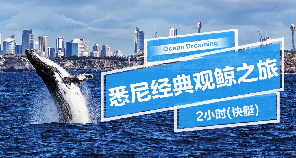 悉尼观鲸2小时出海之旅（刺激快艇）Whale Watching 2 Hours（CircularQuay登船）