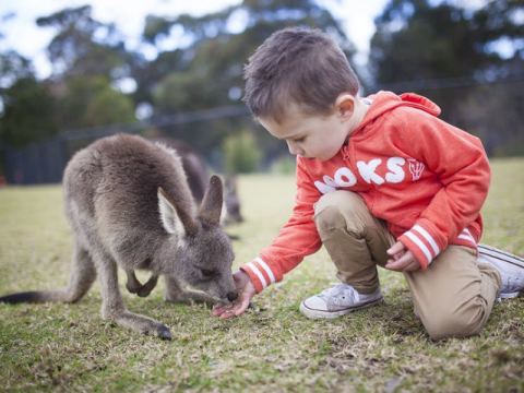西姆比欧野生动物园门票 Symbio Wildlife Park Admission