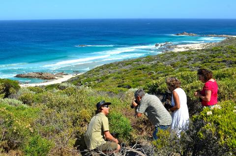 Coastal & Wildlife Eco Tour