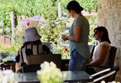 Wine & Sights Discovery Tour