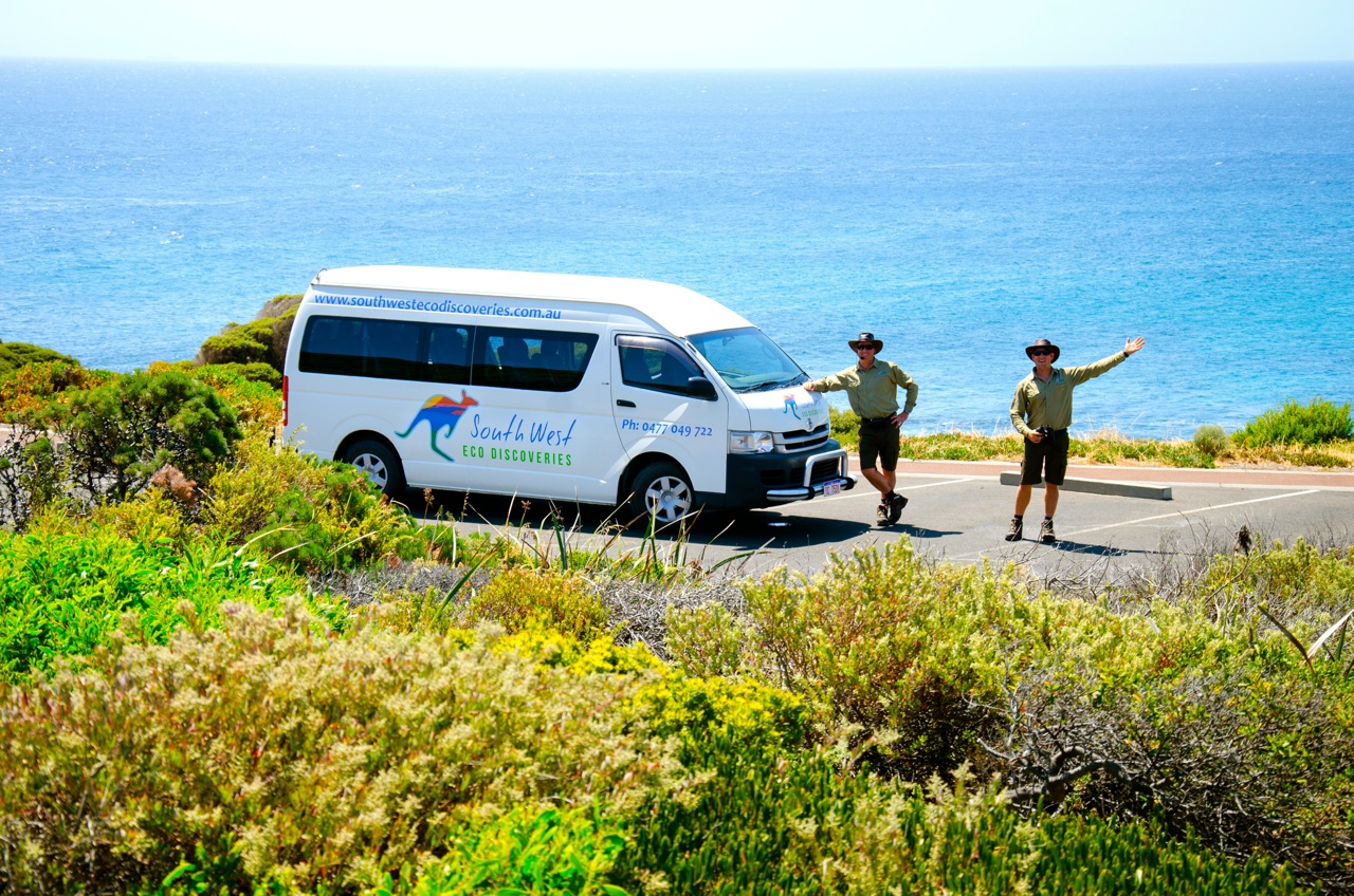 Exclusive 'Cruise Ship Passengers' Nature Tour - Busselton arrival