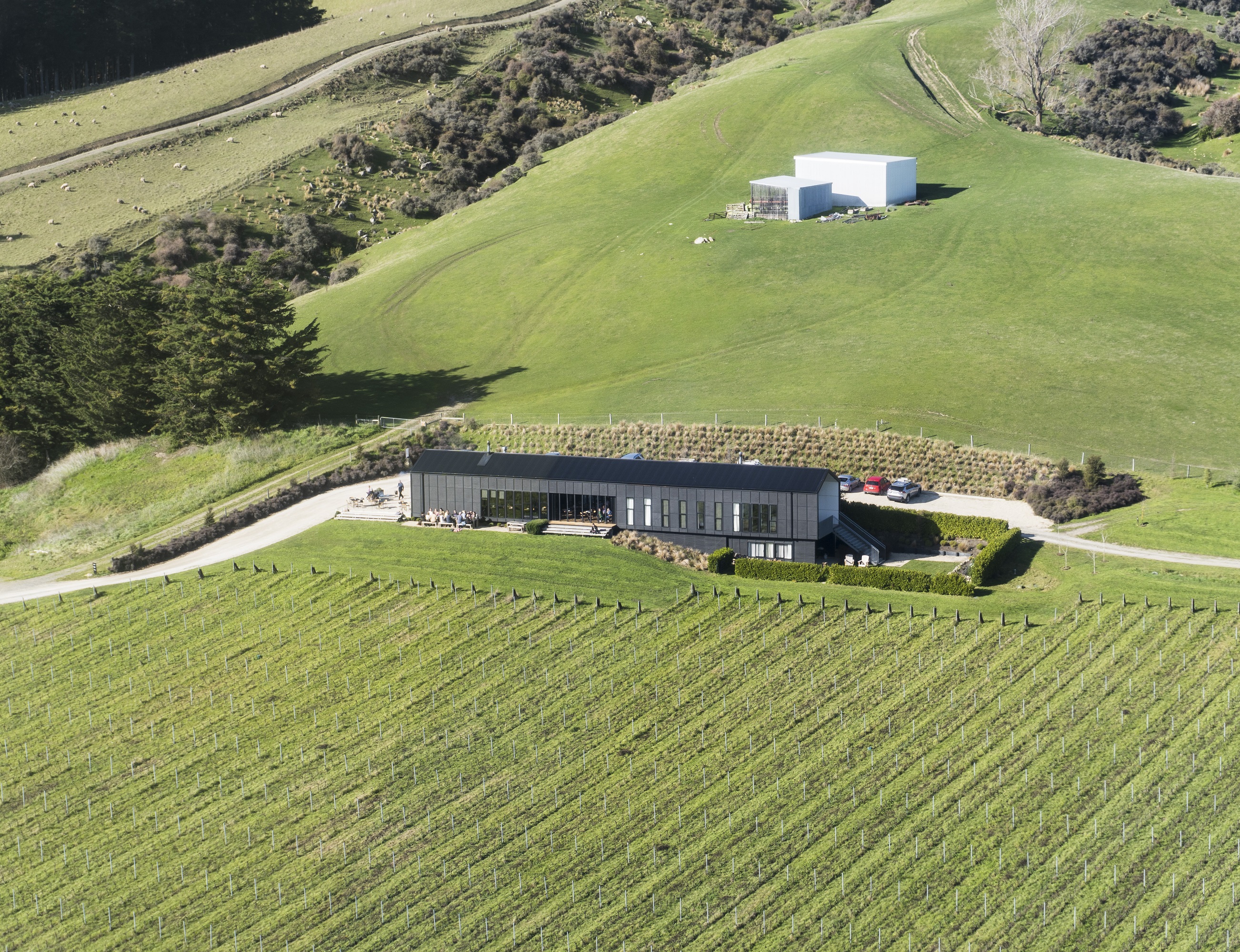 Canterbury Winery Tour