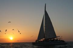Sunset Catamaran