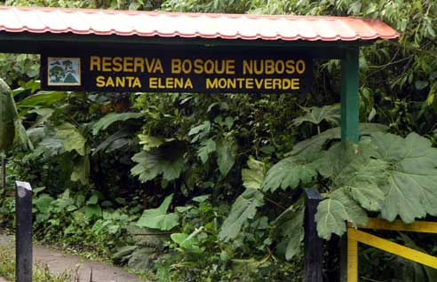 Santa Elena Reserve Tour