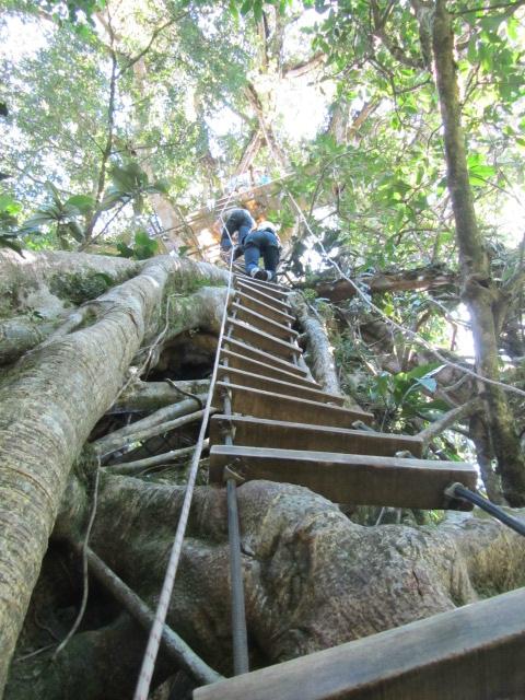 Original Canopy Tour Monteverde