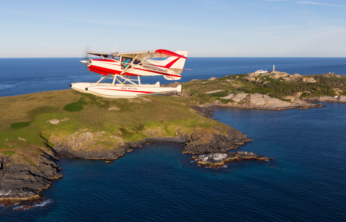 montague island tours bermagui