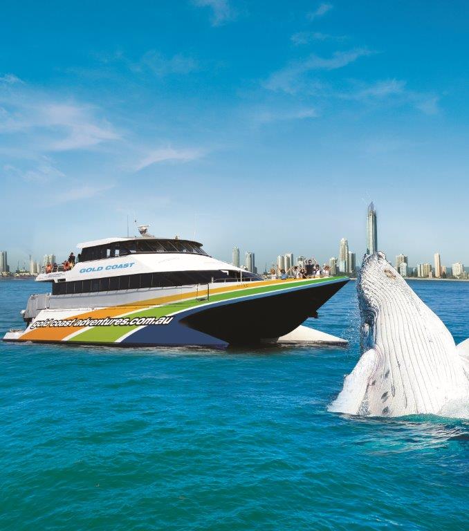 ADRENALIN Whales $59