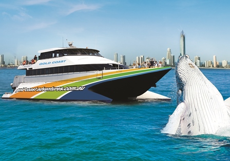 Whale Watching - Adults $99 & Kids $59
