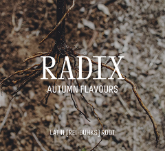 RADIX Autumn Flavours Dinner