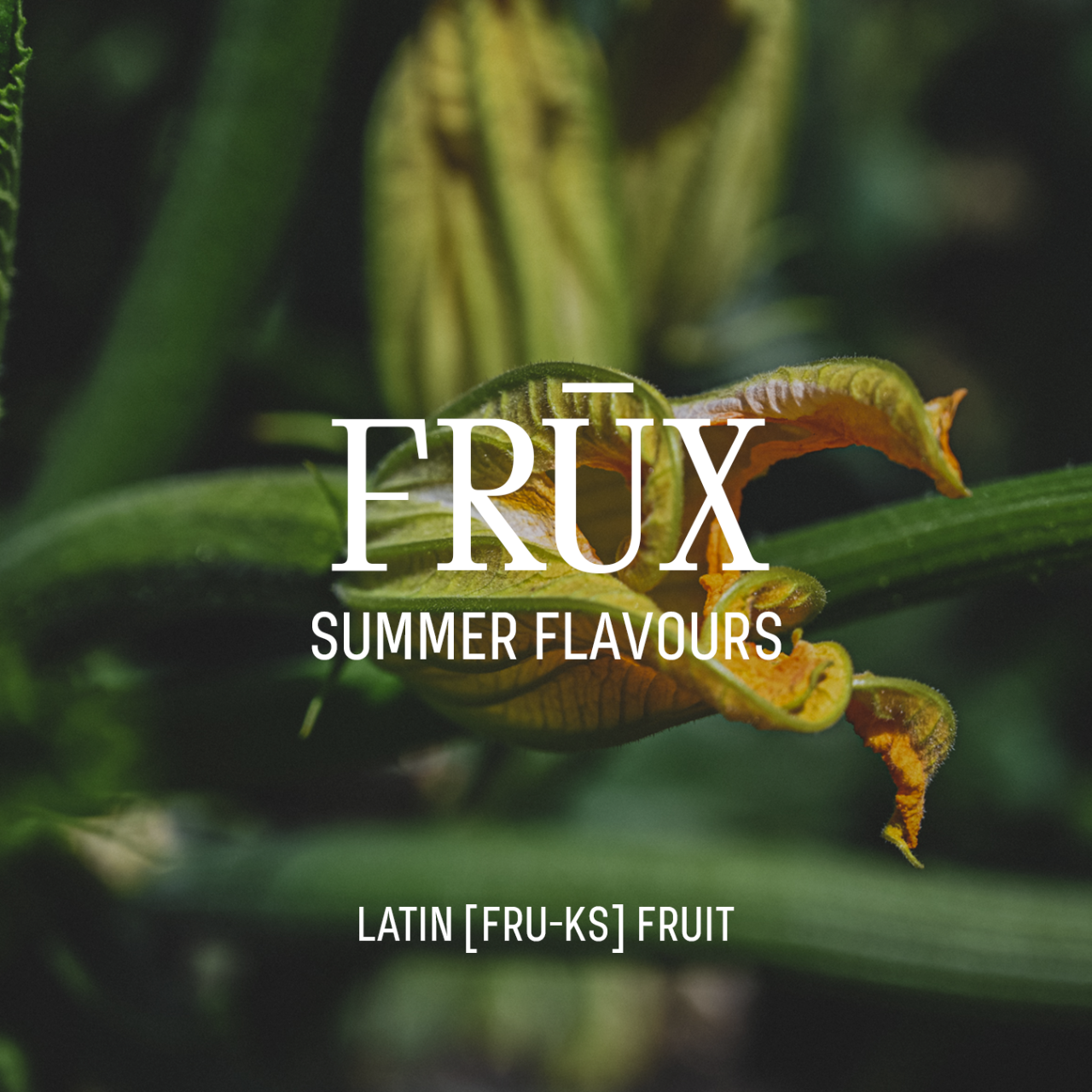 FRUX: Summer Flavours | Seasonal Dinner