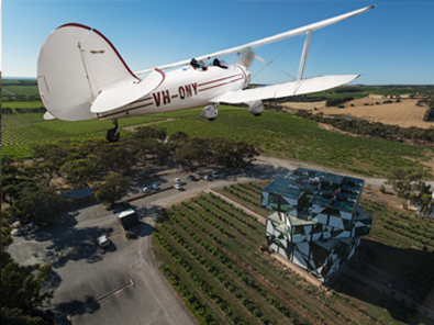 Biplane Scenic Flight, Wine Making and Degustation with Wine Pairing