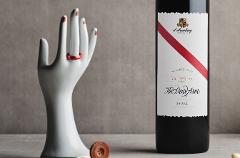 The Dead Arm 2020 Release | Adelaide Cenosilicaphobic Members Night 