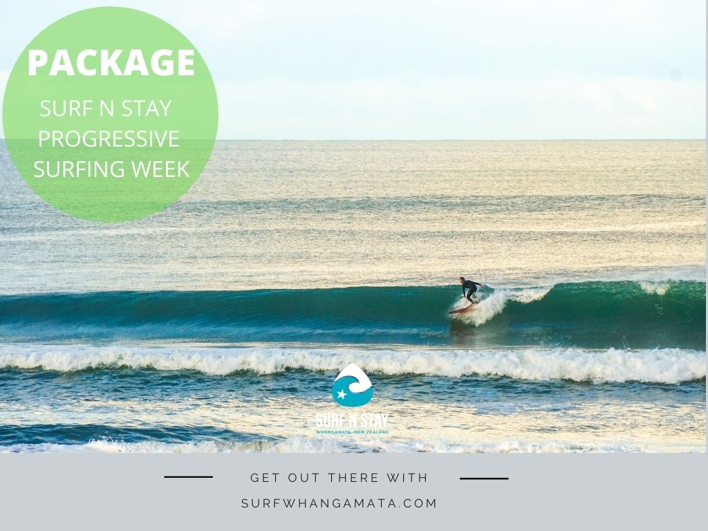 Package - PROGRESSIVE SURFING WEEK