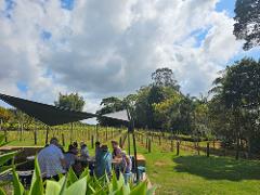 Mini Wine Tour Mt Tamborine Including 2 Course Lunch 