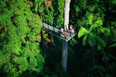 Brisbane Departure -Explore Mt Tamborine 