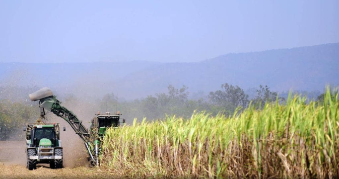 The Best of the Whitsundays - Full day tour