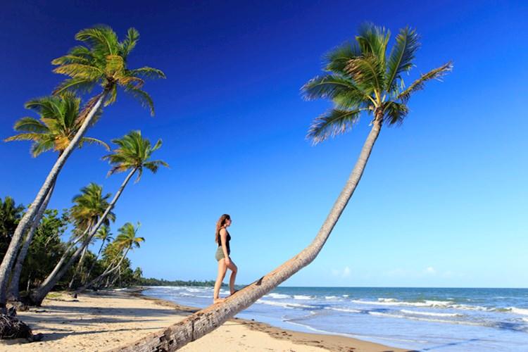 8 day tour – Tropical North Queensland Tour