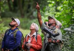 Rio Maya & Aguacate Lagoon BirdwatchingTour