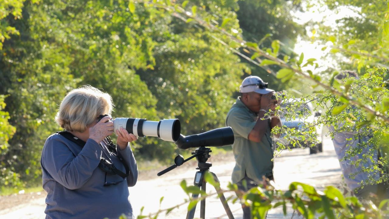 Crooked Tree Wildlife Sanctuary Birdwatching