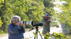 Crooked Tree Wildlife Sanctuary Birdwatching