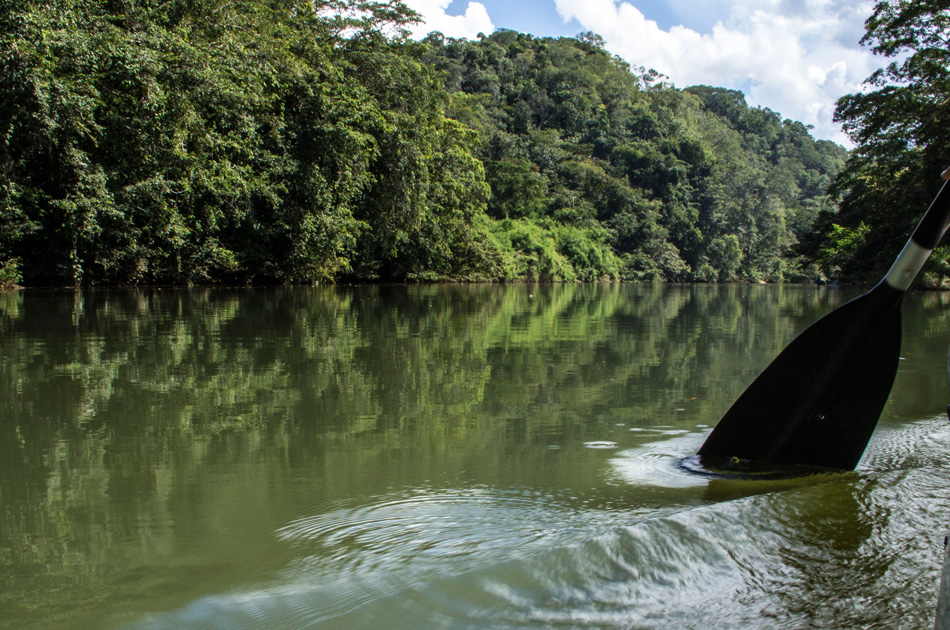 MACAL RIVER CANOEING-half day