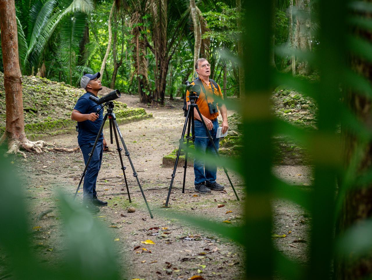 CAHAL PECH ANCIENT MAYA ARCHAEOLOGICAL SITE BIRDWATCHING TOUR