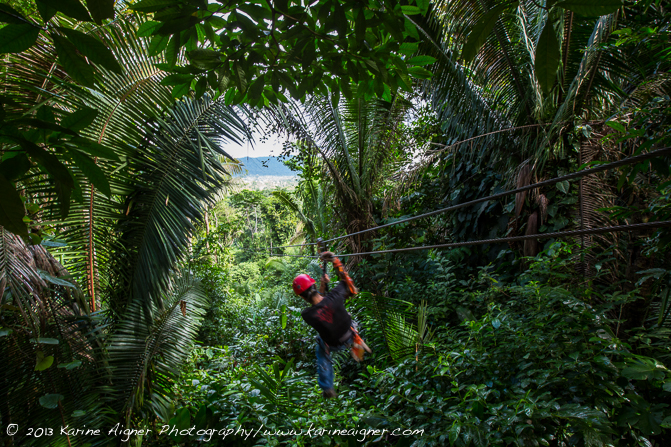 BELIZE JUNGLE ZIPLINE Half Day ADVENTURE TOUR