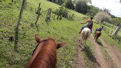 HALF DAY ORGANIC FARM HORSEBACK RIDE