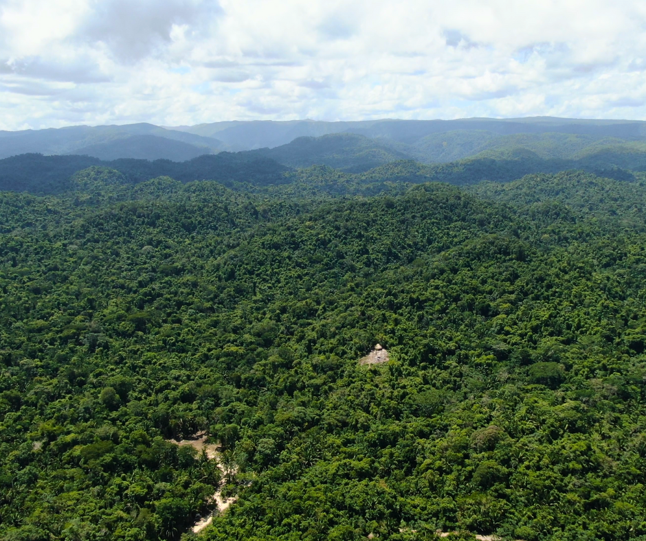 Support Belize Karst Habitat Conservation