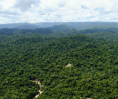 Support Belize Karst Habitat Conservation