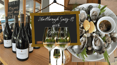 Blenheim: Private Wine, Gourmet & Scenic Experience