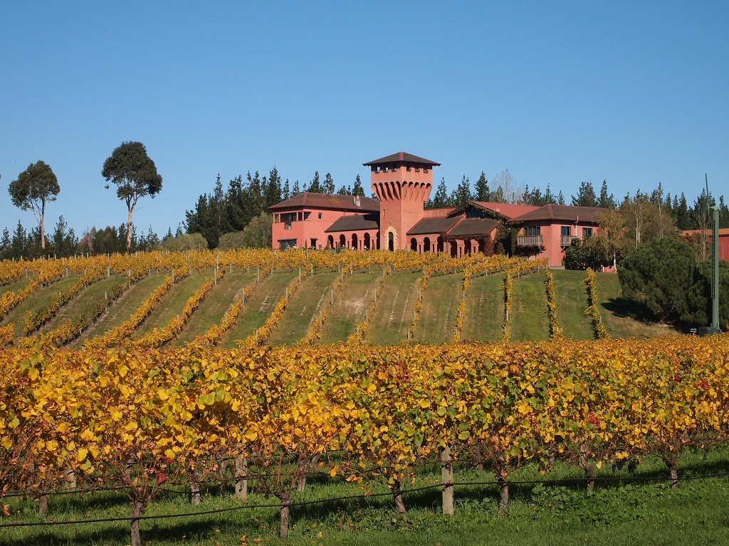 Private Tour: WINTER Wine and Scenic Delights Tour from Picton  6-8 SEATS