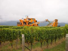 Private Wine Gourmet and Scenic Delights of Marlborough 