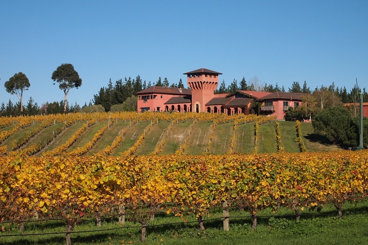 Your Local Chauffeur Wine and Food Delight Tours of Marlborough: Private Winter Wine Tour from Blenheim (1-5 Guests) - Photo 2