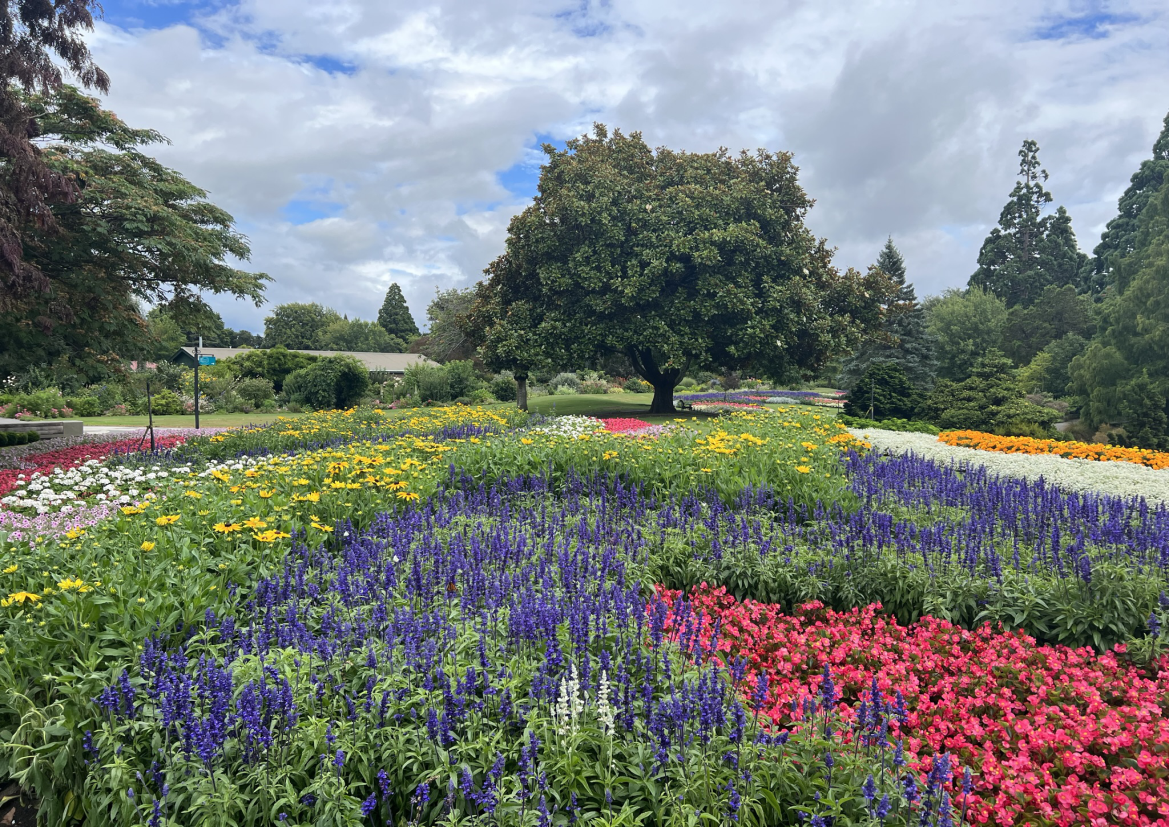 Your Local Chauffeur: Shore Excursion: Highlights of Marlborough Wine Region from Picton — Marlborough - Photo 4