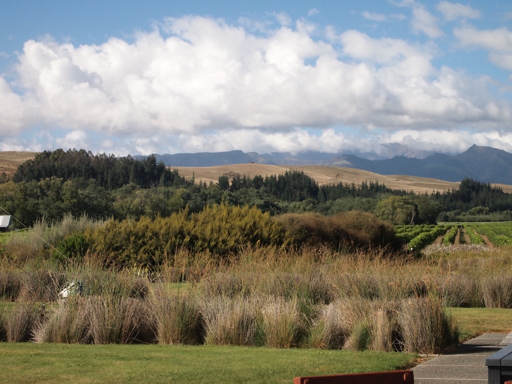 Your Local Chauffeur Wine and Food Delight Tours of Marlborough: Private Winter Wine and Scenic Delights Tour from Picton (Up to 5 Guests) - Photo 1