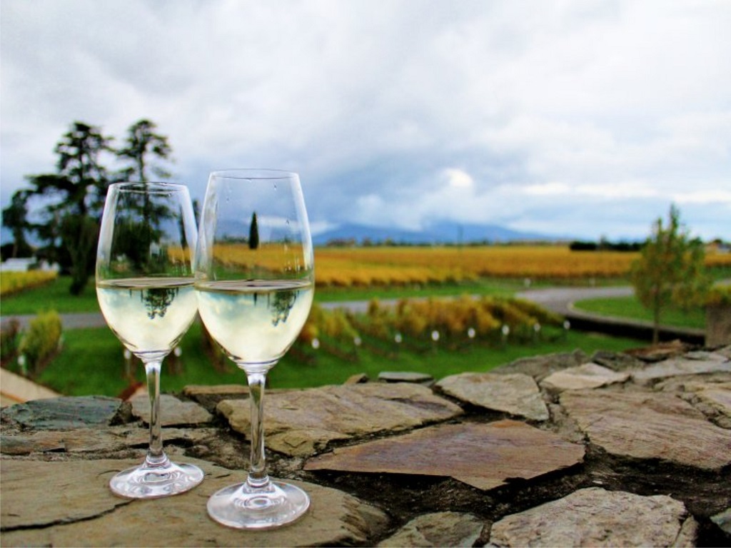 PROGRESSIVE WINE AND GOURMET TRAIL FROM BLENHEIM OR PICTON