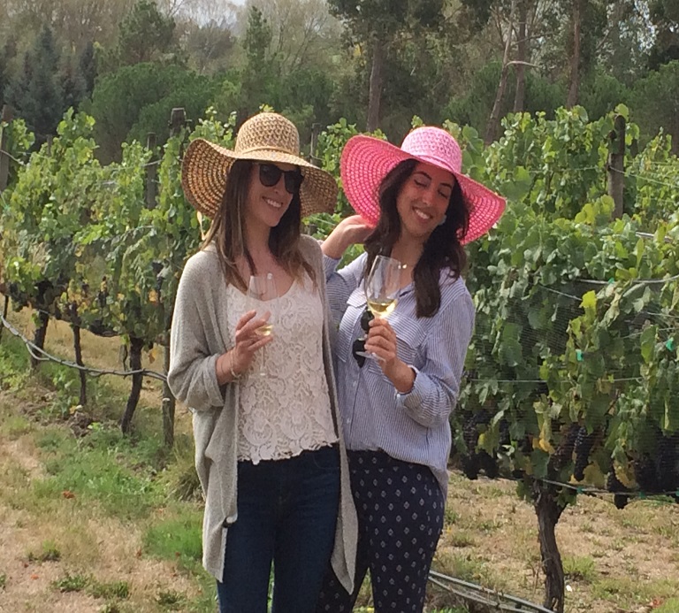 Your Local Chauffeur: Private Wine Gourmet and Scenic Delights Tour from Blenheim 6-10 SEATS — Marlborough - Photo 1
