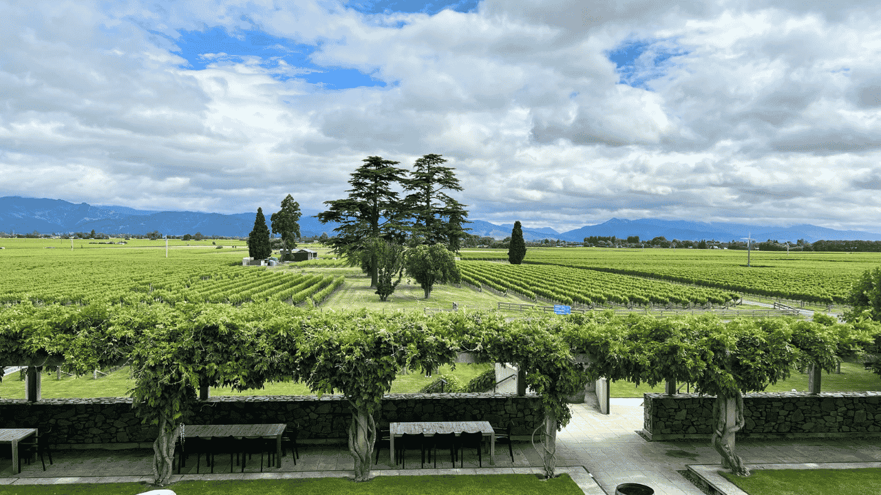 Blenheim Progressive Marlborough Wine & Gourmet Experience