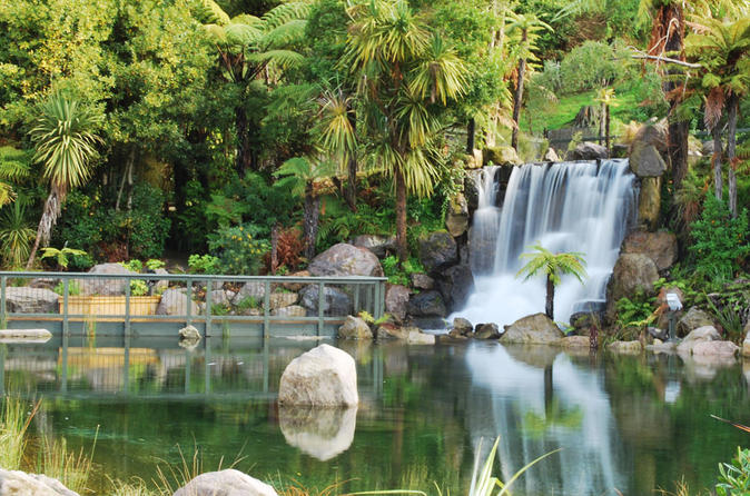 SHORE EXCURSION: TE PUIA AND RAINBOW SPRINGS FROM TAURANGA