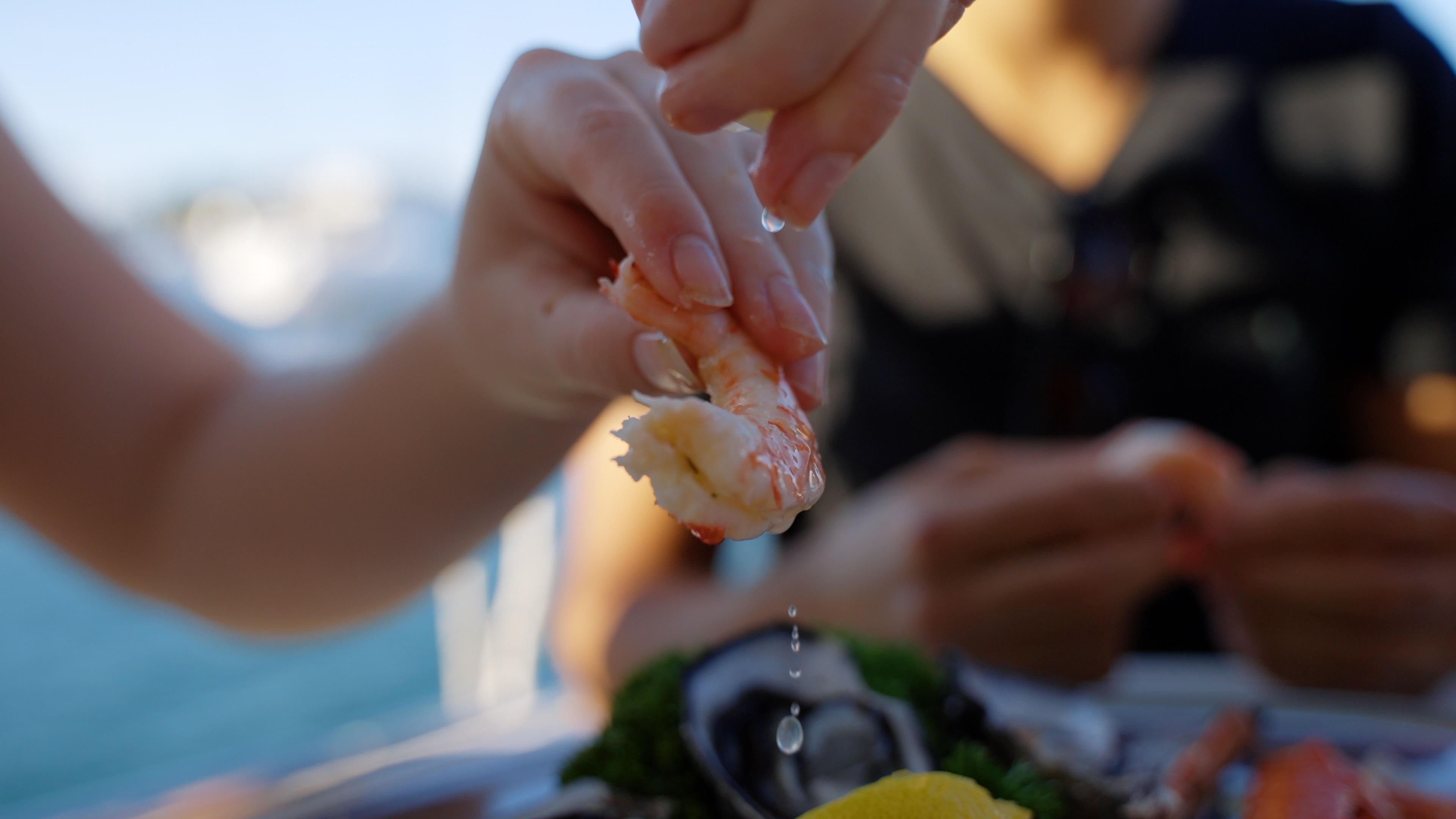 Bottomless Lunch Cruise