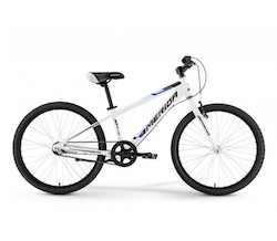 Uluru Bike Ride (with transfers) 2021